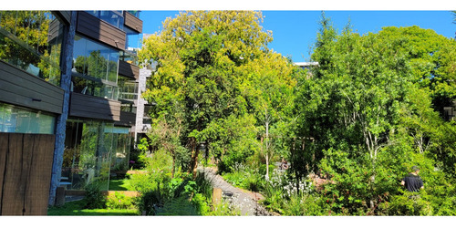 Bello Departamento En Pucón