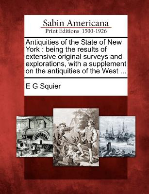 Libro Antiquities Of The State Of New York: Being The Res...