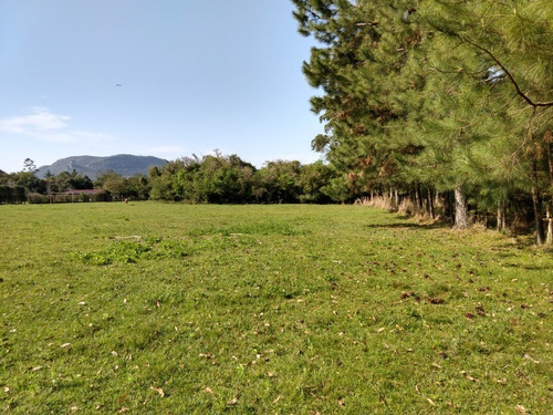 Chácara 10.000 M² - Estância Antiga - Gravataí - Rs - 2242 - 34462324