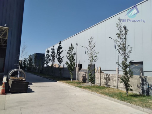 Bodega 9.500 Mt2 En Arriendo En Maipú