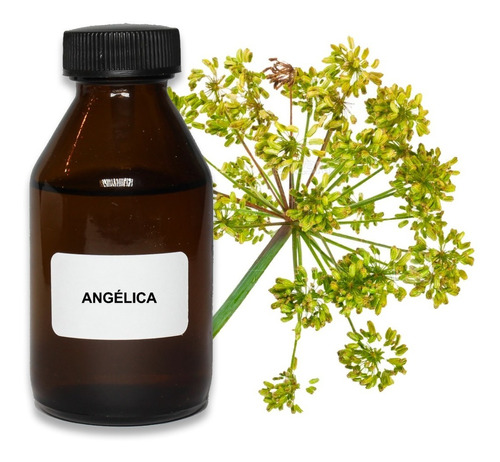 Aceite Esencial Angélica 100ml Puro Aromaterapia Cosmética!