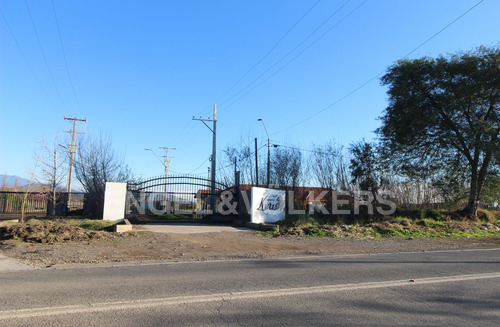 Sitio En Loteo Viña Las Kuras En Requínoa