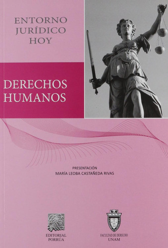 Libro Derechos Humanos Entorno Jurídico Hoy