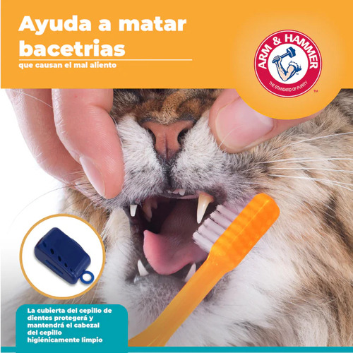 Arm & Hammer Kit Pasta Dental Cepillo Gato Aliento Fresco At