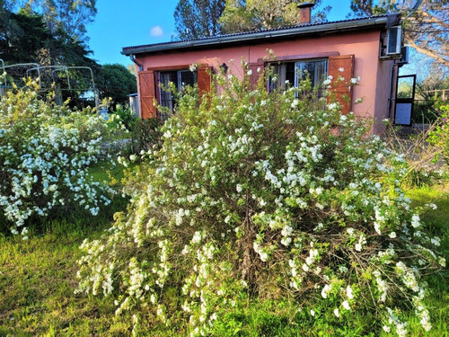 Imagen 15 de 29 de Chacra Con Vivienda