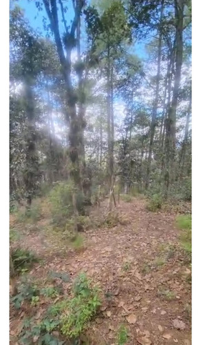 Amplio Terreno Para Cabañas En Los Alcanfores Sclc