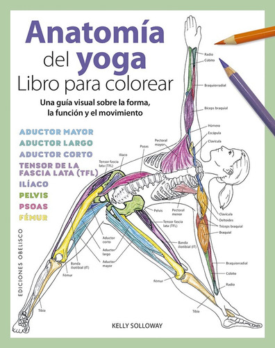 Anatomía Del Yoga. Libro Para Colorear - Kelly Solloway