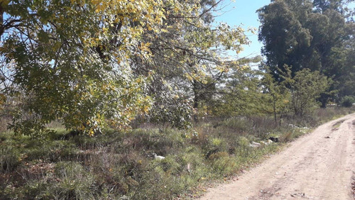 Imagen 3 de 13 de Excelente Lote 500 Mts Venta Mariano Acosta Merlo