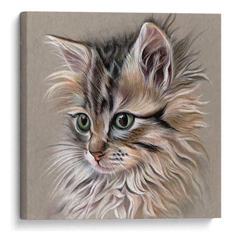 Canvas Lab Cuadro Retrato De Gatito I 40x40, Georges Cuvier