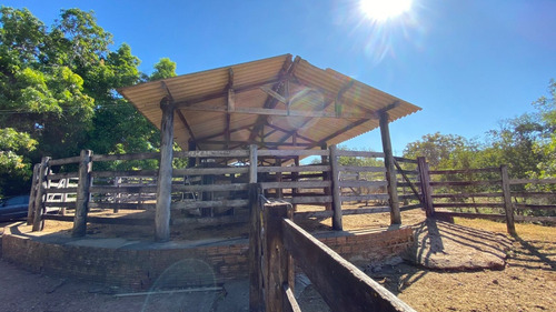 Venda De Fazenda Com Estrutura Completa Potencial Produtivo