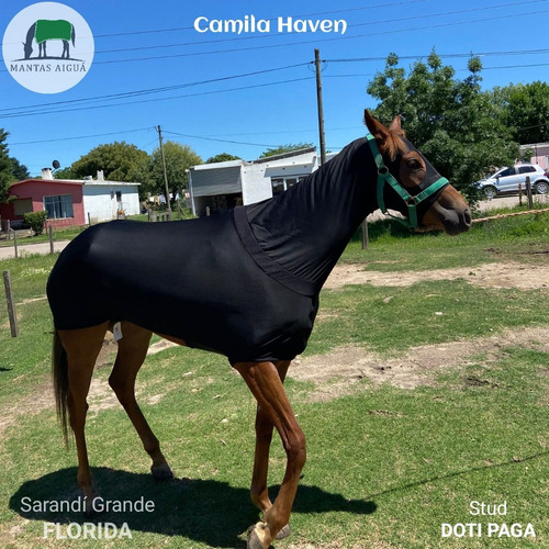 Imagen 5 de 6 de Manta Capa Para Caballo De Lycra Licra (desc. Venta Directa)