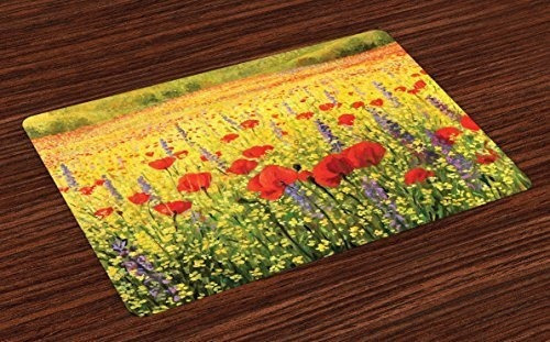 Ambesonne Flower Place Mats Set De 4, Un Campo Colorido