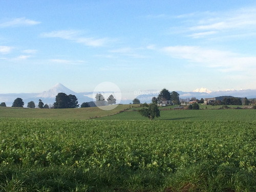 21071 - Los Laureles De Maullin En Linea Nueva