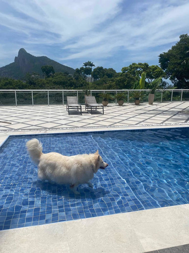 Imagem 5 de 30 de Casa Alto Padrão Nova Vista Mar Coração De São Conrado