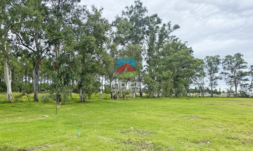 Imagen 5 de 10 de La Pradera - Financiado
