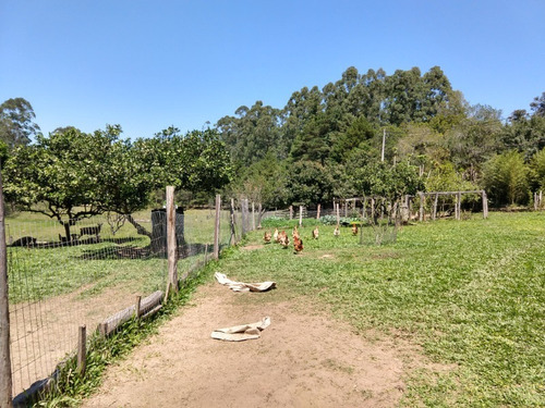 Chácara 16.000 M² - Rincão São João - Glorinha - Rs - 2238 - 34456025