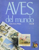 Comprar Aviones. Modelos Para Colorear - Amber Books Ltd