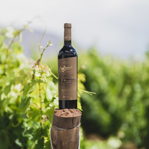 Vino Tinto Malbec Colome Single Vineyard El Arenal 6x750 Ml