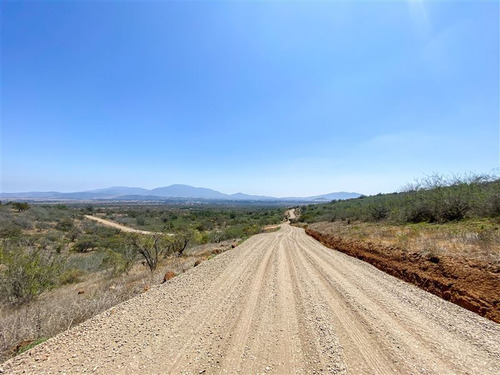 Imagen 27 de 29 de Sitio En 3 Has En Venta - Catapílco, Zapallar