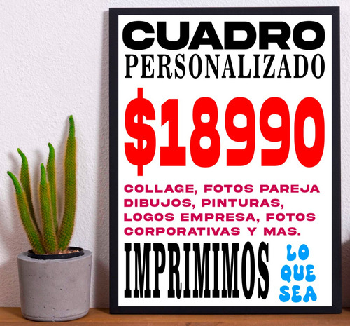 Cuadro Madera Negra Tx 33x48cm Cactus San Pedro Atacam Chile