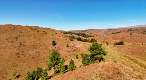 Magnificas Fracciones De Campo De 3 Ha. Con Costa De Arroyo Y Bajada Al Río. San Miguel De Los Rios. Yacanto De Calamuchita