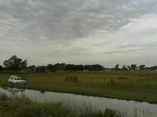 Imagen 3 de 11 de Lote
