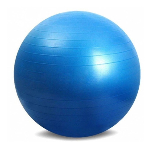 Gym Ball. Pelota De Fitness 65 Cm. 1100gr Fitness