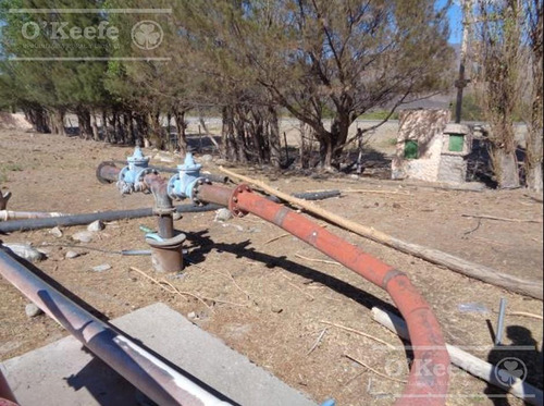 Campo En Venta De 300 Has Santa Maria, Catamarca
