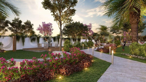 Imagen 8 de 30 de Proyecto De Lotes Residenciales En Telchac Puerto, Yucatán