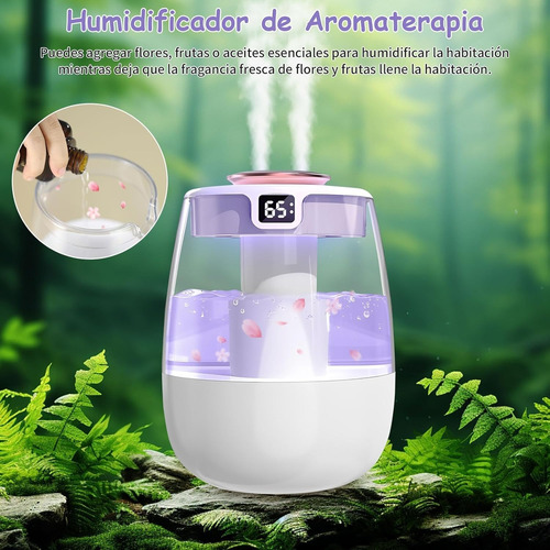Humidificador De Doble Pulverización,usb