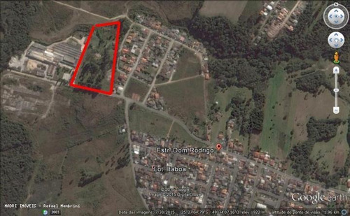 Imagem 8 de 10 de Terreno Para Venda Em Campo Largo, Bolsa Nova - 811_2-154242