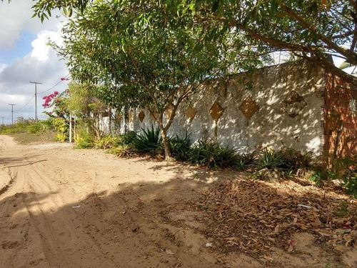 Granja A Venda Pium