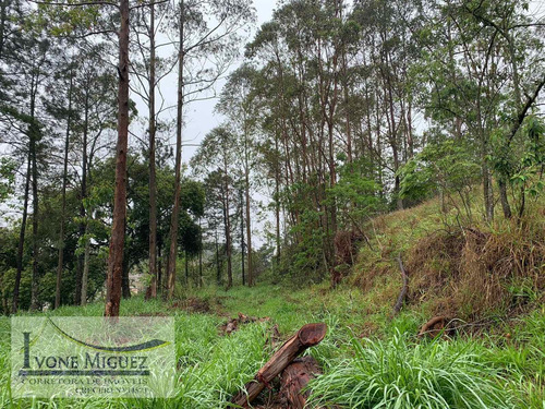 Imagem 4 de 6 de Sítio Em Governador Portela - Miguel Pereira - 3442