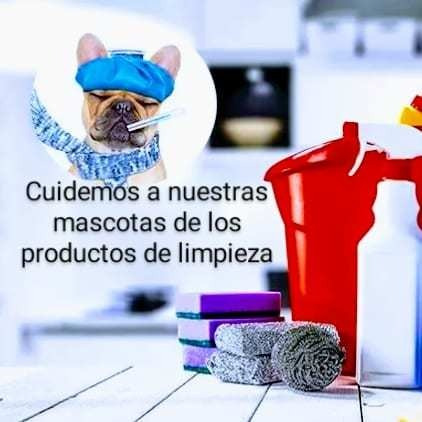 Imagen 4 de 4 de Servicios Integrales De Limpieza Y Cuidados De Personas.
