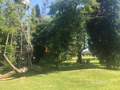 Imagen 10 de 20 de Venta Lote Manzanares La Ranita
