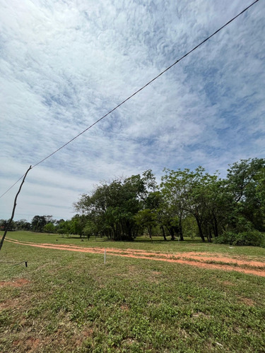 Terreno - En Venta - Paraguay Central Villa Elisa