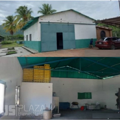 Imagen 5 de 10 de Venta De Granja Avícola/ San Francisco Asís/ 04128859981