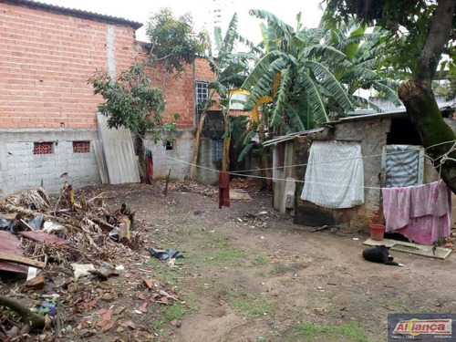 Imagem 7 de 15 de Terreno Para Construção. - Ai10656