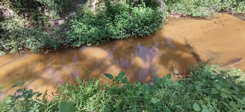 Imagem 3 de 18 de Miracatu /bela Chácara Plana C/riacho/só R$ 90 Mil/oportunidade/ref:05367