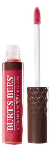 Burt's Bees 100% Natural Moisturizing Lip Gloss, Summer