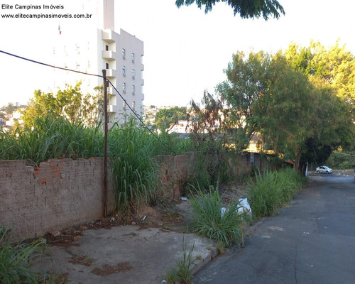 Imagem 2 de 4 de Terreno - Te00564 - 71005752
