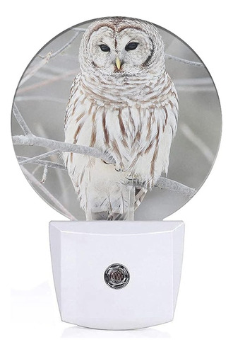 ~? Ekobla White Bird Night Light, Enchufe La Luz Nocturna A 