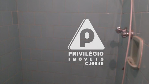 Apartamento Para Aluguel, 1 Quarto, Laranjeiras - Rio De Janeiro/rj - 29489