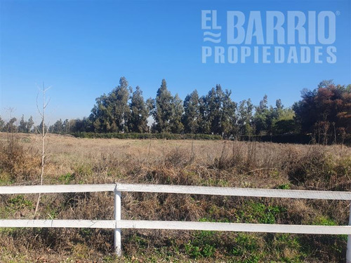 Sitio En Arriendo Chicureo Central