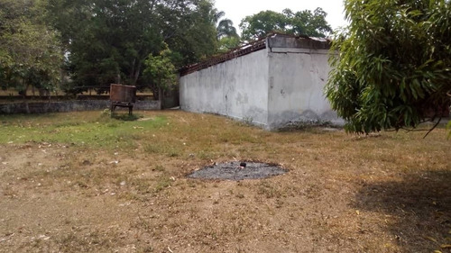 Imagen 6 de 15 de Finca En El Paguey, Barinas En Venta