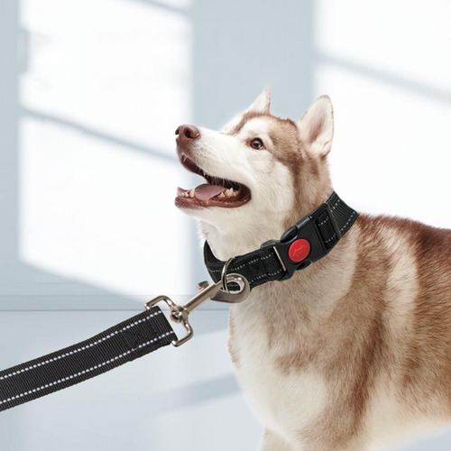 Cuerda De Tracción Ajustable Para Perros, Para Correr, M