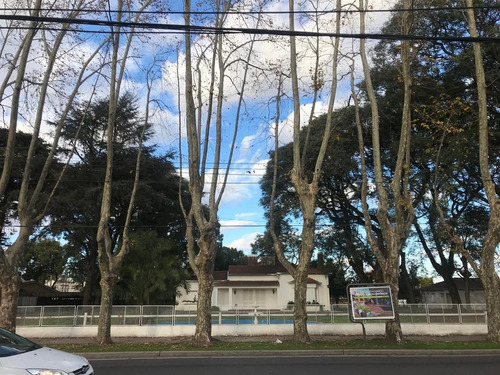 Local - Punta Chica