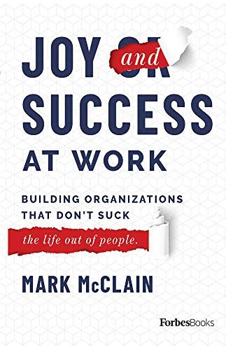 Libro: Joy And Success At Work: Building Organizations That