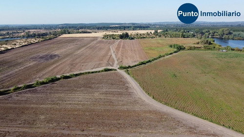 Imagen 3 de 13 de Rodeado De Lagunas. Apto Frutales.