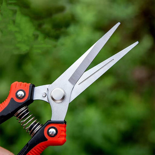 Tijeras De Jardinería Profesionales Para Macetas